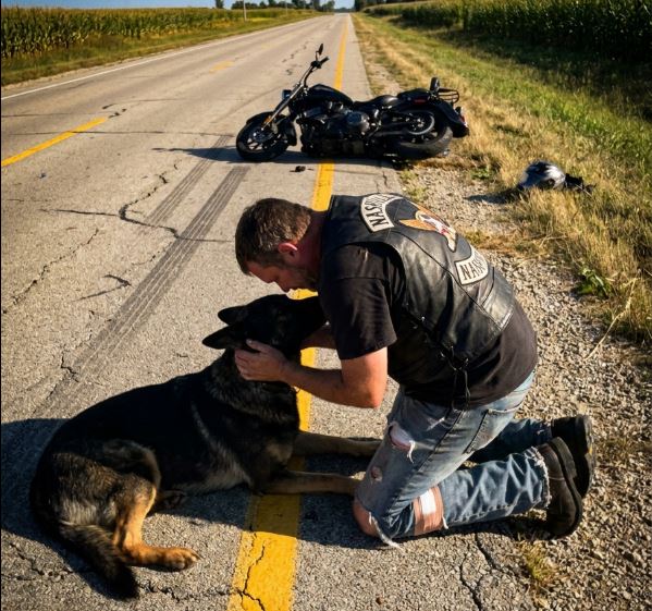 Egy motoros 55 mérföldes sebességnél fektette le a saját Harley-ját egy kétsávos tennessee-i országúton, hogy eljusson egy haldokló német juhászkutyához, akiért senki más nem állt meg. Amikor a segélyhívó diszpécser megkérdezte, kinek kell a mentő, a válasza után két járművet is kiküldött.
