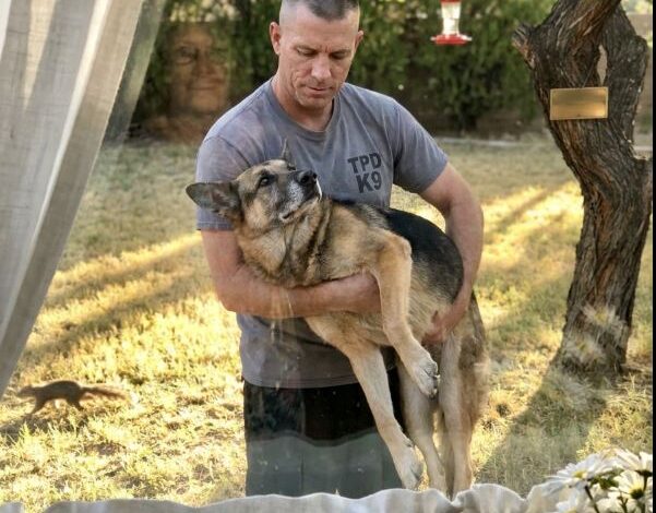 Ein pensionierter K9-Beamter aus Tucson ging jeden Morgen um 7:15 Uhr durch seine Hintertür hinaus und trug einen 85 Pfund schweren Deutschen Schäferhund in seinen Armen, als wäre er ein schlafendes Kleinkind. Als seine Nachbarin ihn schließlich durch ihr Küchenfenster filmte, nachdem sie ihn zehn Monate lang dabei beobachtet hatte, erreichte der 38-sekündige Clip innerhalb von drei Tagen 15 Millionen Aufrufe.